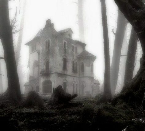 melinoe aesthetic Creepy Cute Aesthetic, Eerie Places, Creepy Core, White Goth, Arte Alien, Abandoned House, Dark Nature Aesthetic, Angel Aesthetic, Southern Gothic