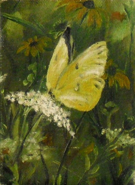 "Fine art 5 X 7 print of my original oil painting \"Yellow Butterfly\".  This sweet yellow butterfly is perched on a Queen Ann's Lace amid a field of wild flowers including Black Eyed Susan.   Printed on canvas using archival ink.   Thanks for looking.  Come back soon." Field Of Wild Flowers, Butterfly Acrylic Painting, Painting Yellow, Scenery Paintings, Nature Drawing, Yellow Art, Butterfly Painting, Yellow Butterfly, Black Eyed Susan