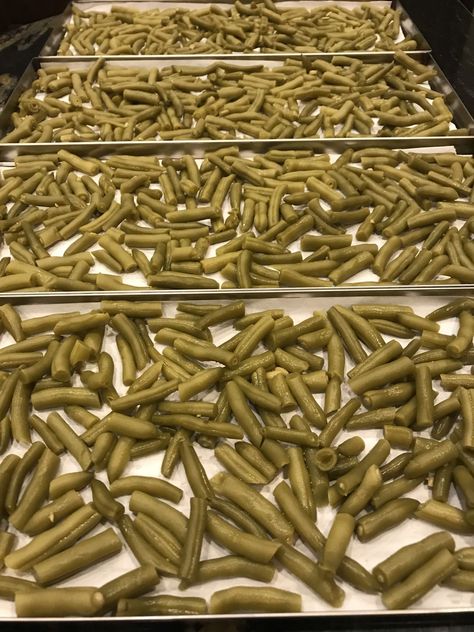 Freeze Dry Green Beans At Home - Acre Life Food Preservation Freeze Dry Vegetables, Freeze Dried Green Beans, Freeze Dried Veggie Chips, Meals To Freeze Dry, Freeze Dried Potatoes, Diy Freeze Dried Meals, Freeze Drying Food Recipes, Freeze Dried Snacks, Green Beans Chips