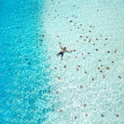 Paradise Beach Cozumel, Cozumel Snorkeling, Cozumel Cruise, Beach Vacation Spots, Best Snorkeling, Save Our Oceans, Cruise Holidays, Cozumel Mexico, Drone Photos