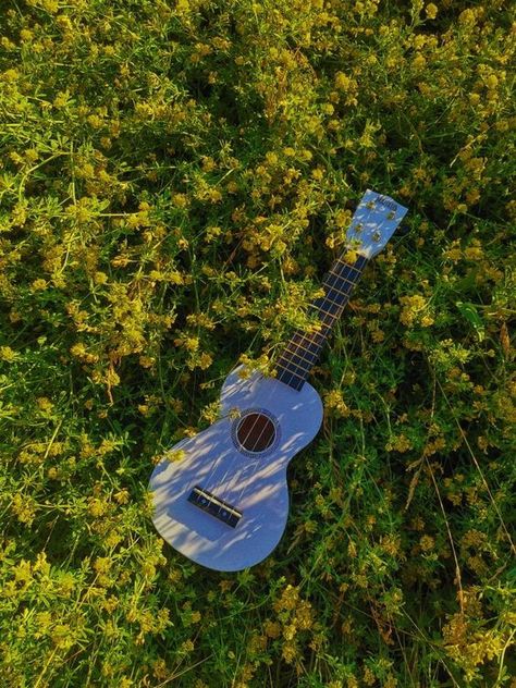 Ukulele Aesthetic, Music Aesthetic Wallpaper, Easy Guitar Songs, Guitar Tabs Songs, Ukulele Music, Guitar Chords For Songs, Ukulele Lesson, Guitar Photos, Velvet Wallpaper