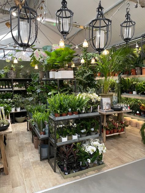 Garden Shop Design, Plant Shop Decor, Boutique Plant Shop, Christmas Shop Displays, Indoor Plant Display, Garden Center Displays, Nursery Layout, Plant Display Ideas, Flower Shop Design