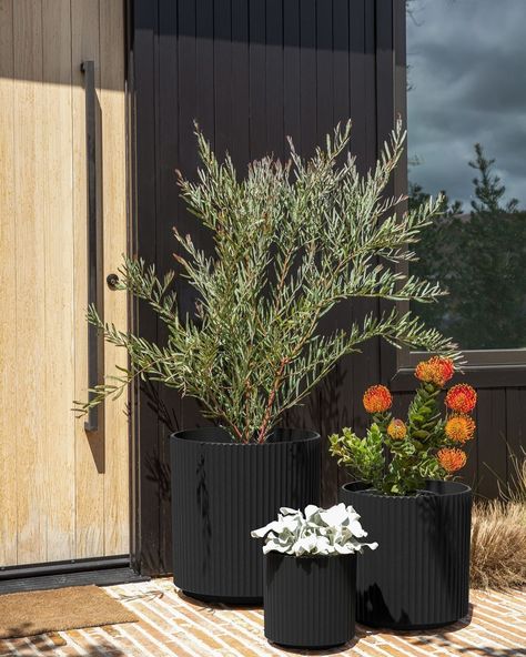 Some pot inspo 😍 I loooovvveeeee a good potted moment. We can really add so much to a space with potted plants. They’re super fun because you have so many options in terms of “look”. Modern. Farmhouse. Natural. Minimal. Boho. Outdoor Planters Front Door, Front Porch Planter Ideas, Modern Front Porch Decor, Porch Planter Ideas, Modern Front Porches, Front Door Planters, Front Porch Plants, Modern Uniform, Front Porch Flowers