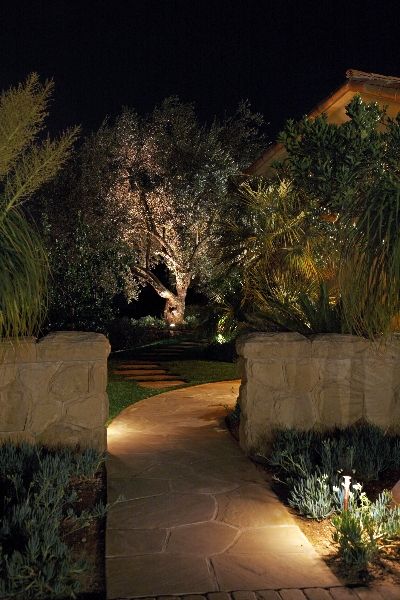 Modern Landscape Lighting, Outdoor Security Lighting, Landscape Lighting Design, Areas Verdes, Home Landscape, Outdoor Landscape Lighting, Modern Landscape Design, Modern Landscape, Backyard Lighting