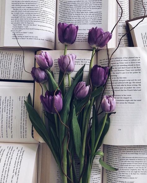 Flowers 🌺 on Twitter: "… " Lilac Aesthetic, Nature Photography Trees, Nature Photography Flowers, An Open Book, Purple Tulips, Open Book, Tulips Flowers, Purple Aesthetic, Love Flowers