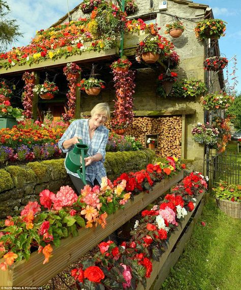 flower house - Google Search Beautiful Flowers Garden, Gorgeous Gardens, Dream Garden, Vertical Garden, Garden And Yard, Summer Decor, Garden Beds, Cottage Garden, Garden Inspiration