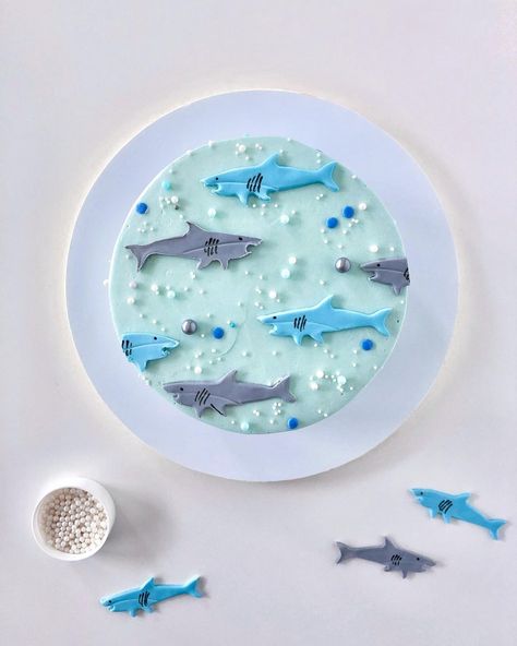 Eat Cake Be Merry - Liz Shim on Instagram: “For my shark lovin’ son on his 5th birthday! This was inspired by one of his favorite t-shirts. 🦈 The sharks were cut out of fondant. I…” Shark Cookie Cake, Aba Crafts, Shark Themed Cakes, Ocean Birthday Cakes, Shark Birthday Cakes, Shark Cookies, Ocean Birthday Party, Ocean Cakes, Shark Themed Birthday Party