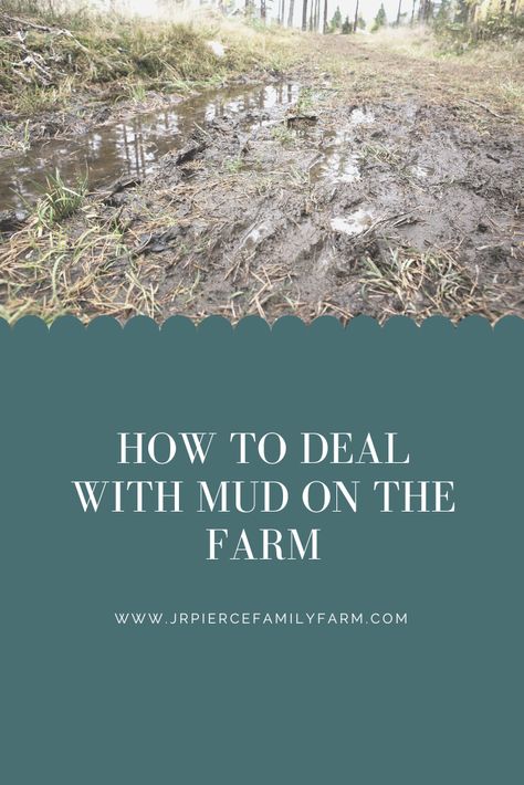 Mud on the farm can be a farmer's worst nightmare. It not only slows down production, it is dangerous and difficult to navigate around in tractors or other vehicles. Here are some tips for dealing with mud on the farm. #mudonthefarm #dealingwithmud #gardeningtips #farmingtips #farminghacks #homesteading #jrpiercefamilyfarm Milk Parlor, Mud Control, Mud Management, Manure Management, Goat Pen, Farm Hacks, Drainage Ditch, Cow Pasture, Mosquito Larvae