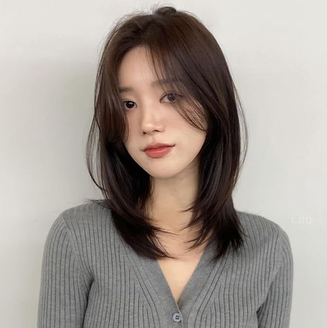 Korean Mid Length Haircut, Shoulder Length Hair No Layers, Middle Length Haircut With Layers, Layered Fine Hair, Armpit Length Hair, Kimchi Salad, Medium Layers, Hair Inspiration Long, Oval Face Haircuts