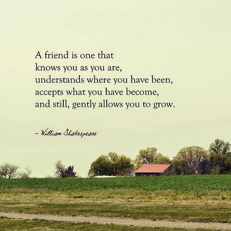 Shakespeare Quotes on Friendship Friendship Betrayal Quotes, Famous Shakespeare Quotes, Hunter S Thompson Quotes, Whatsapp Info, Ig Quotes, Provoking Quotes, William Shakespeare Quotes, Betrayal Quotes, On Friendship