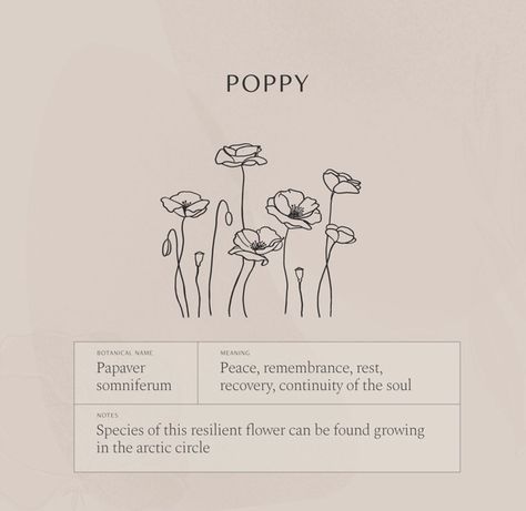 Poppy Flower Tattoo Meaning, Poppies Meaning, Wildflower Symbolism, Poppy Meaning, Poppy Quotes, Poppy Flower Meaning, Fine Line Poppy Tattoo, Esthetician Tattoo, Meaningful Flower Tattoos