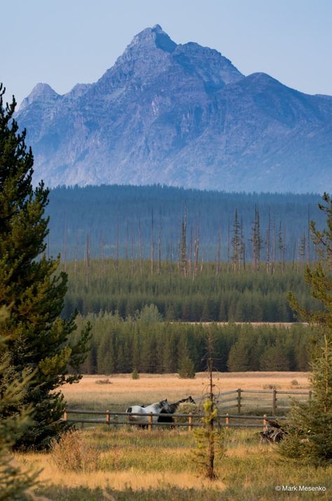 Polbridge, Montana Scenery Beach, Montana Living, Montana Landscape, Montana Vacation, Montana Mountains, Montana Travel, Montana Ranch, Big Sky Montana, Into The West