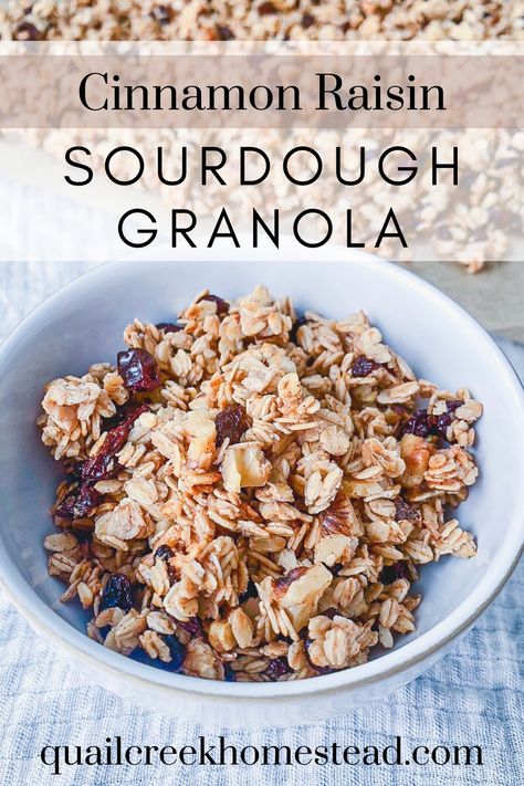 Cinnamon Raisin Sourdough Granola Sourdough Discard Granola, Slow Cooker Venison Chili, Sourdough Granola, Cinnamon Raisin Sourdough, Maple Pecan Granola, Slow Cooker Venison, Granola Snacks, Cinnamon Raisin Bagel, Cinnamon Glaze