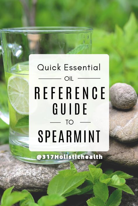 How to use spearmint oil? How To Make Spearmint Essential Oil, Spearmint Oil Uses, Spearmint Essential Oil, Infused Oils, Oil Uses, Essential Oil Uses, Doterra, Apothecary, Have You Ever