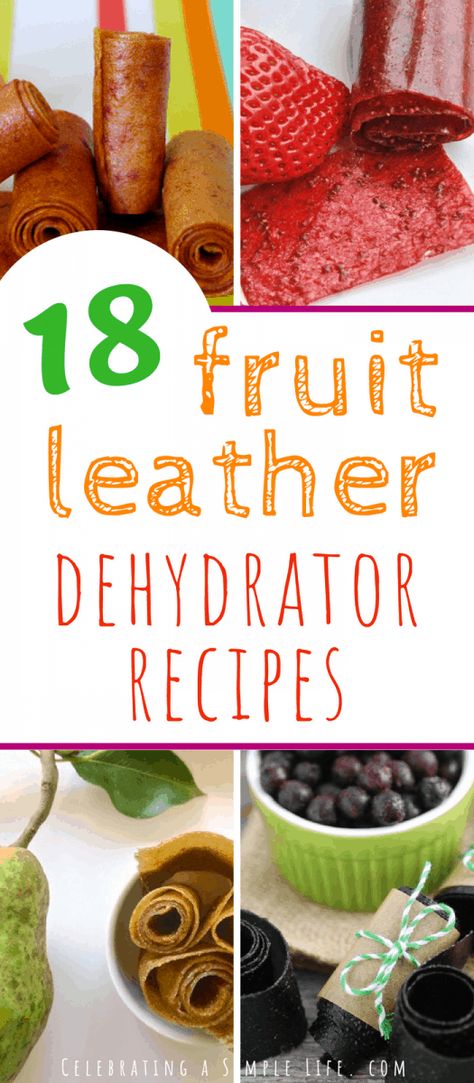 Dehydrated Fruit Leather Recipe, Hydrator Recipes, Mango Dehydrator Recipes, Dehydrator Fruit Leather Recipe, What To Dehydrate, Magic Mill Dehydrator Recipes, Dehydrator Recipes Jerky, Fruit Leather Recipe Dehydrator, Dehydrate Recipes