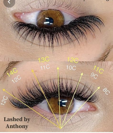 Hybrid Wispy Eyelash Extensions Cat Eye Mapping, Eyelash Extensions Mapping, Eyelash Lift And Tint, Eyelashes Tutorial, Natural Fake Eyelashes, Lashes Tutorial, Lashes Fake Eyelashes, Eyelash Tips, Eyelash Technician