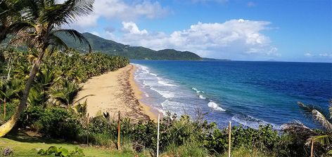 Punta Tuna Beach, Maunabo, Puerto Rico | BoricuaOnline.com Maunabo Puerto Rico, Puerto Rican Cuisine, Puerto Rico Vacation, Paddle Surfing, Camping Area, Beautiful Rocks, Windsurfing, Climbing Plants, Beach Resorts