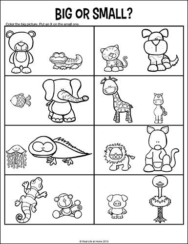 Opposites Worksheet - Big versus Small (from free opposites printable packet) Big And Small Worksheets, Opposites Preschool, Opposites Worksheet, Antonyms Worksheet, Kids Worksheets Preschool, Free Preschool Worksheets, Printable Preschool Worksheets, Kindergarten Worksheets Printable, Worksheets For Kindergarten