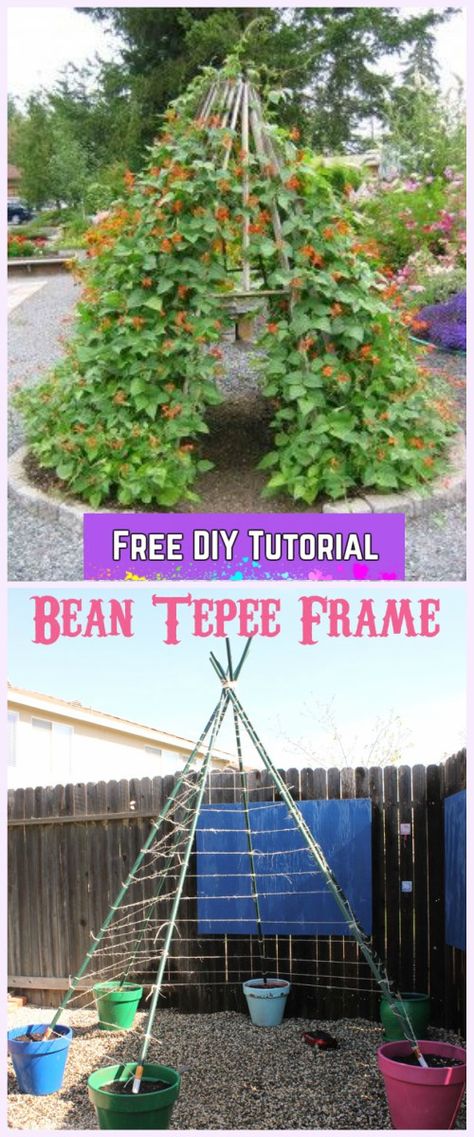 DIY Living Green Teepee Playhouse Tutorial Garden Teepee Trellis Kids, Bamboo Teepee Trellis, Outdoor Teepee Diy, Garden Teepee Trellis, Teepee Trellis Diy, Trailing Plant Teepee, Vine Teepee, Plant Teepee, Flower Teepee