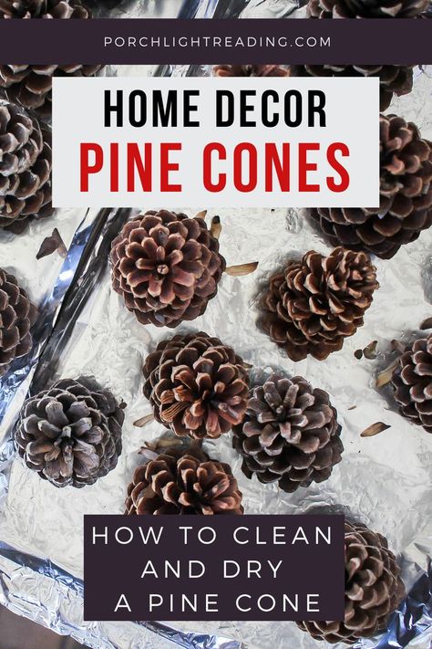 Pinecone Decorations Diy, Pinecone Wedding Decorations, Seasonal Crafts Diy, Pine Cone Christmas Decorations, Cones Diy, Pinecone Crafts Christmas, Diy Spices, Grinch Christmas Decorations, Porch Light