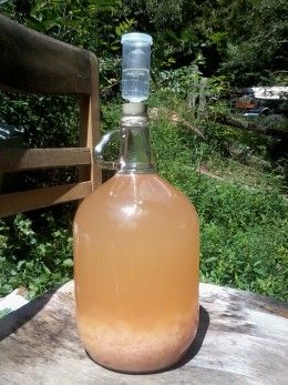 Next spring will be the grand opening of Bunny Run Winery with our first batch of peach wine.  The peaches were delicious this year just not enough of them. @Lauren Graves How to make peach wine...homemade peach wine recipe. Peach Wine Recipe, Wine Making Recipes, Homemade Wine Recipes, Mead Recipe, Peach Wine, Homemade Alcohol, Wine Basket, Homemade Liquor, Mango Avocado Salsa