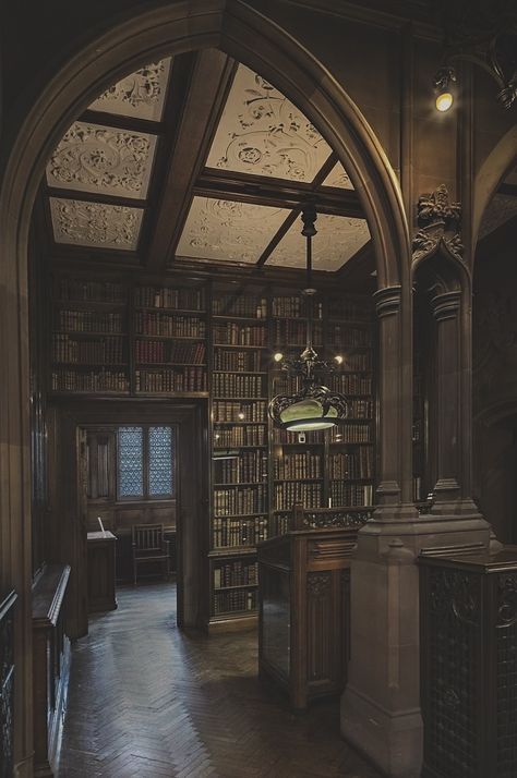 Wammy's House, Foto Cowgirl, Dark Acadamia, Royal Core, Dream Library, Library Aesthetic, Hogwarts Aesthetic, Home Libraries, Dark Academia Aesthetic