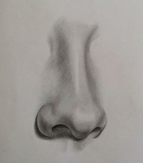 Realism in Pencil Drawing: Pro-Level Tips and Tricks ✅(Follow This Link)✅ Drawing Nose, Iphone Diy, Nose Drawing, Pen Art Drawings, 얼굴 그리기, Ideas Videos, Diy Products, Beauty Art Drawings, 인물 드로잉