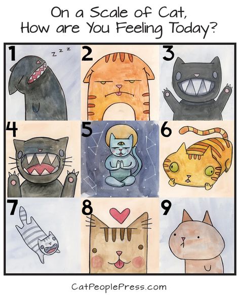 On a Scale of Cat, How are you Feeling Today? – Cat People Press Feels Meme, Today Meme, What Animal Are You, Kids Feelings, Emotion Chart, Feelings Chart, In Meme, Good Day Sunshine, Funny Feeling