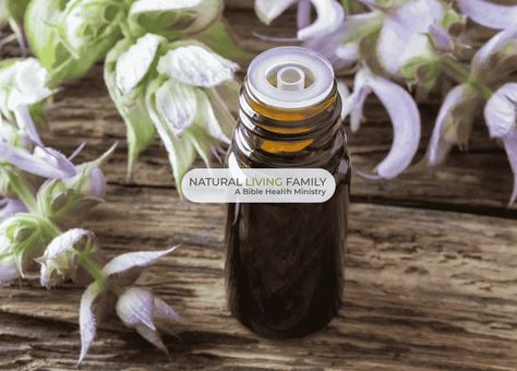 Clary Sage Essential Oil Benefits, Sage Essential Oil Benefits, Clary Sage Oil, Clary Sage Essential Oil, Essential Oils Health, Sage Essential Oil, Herbal Recipes, Essential Oil Benefits, Oil Benefits