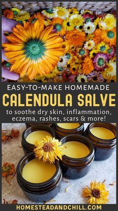 Homemade Salve, Calendula Salve, Herbal Remedies Recipes, Salve Recipes, Herbal Salves, Skincare Secrets, Herbal Recipes, Natural Healing Remedies, Herbal Healing