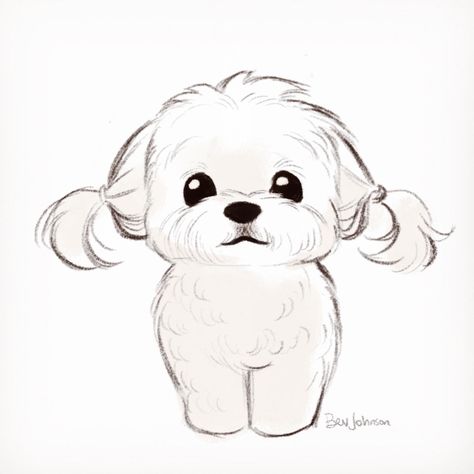 April/May 2021 Character Design & Illustration on Behance Poodle Drawing, Bev Johnson, Cute Dog Drawing, Character Design Illustration, Dog Sketch, Cute Sketches, Pets Drawing, 강아지 그림, Cute Doodles Drawings