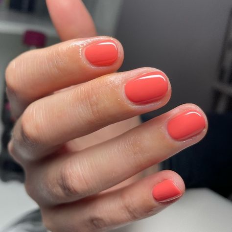 Coral nails bring a burst of vibrant energy to your fingertips, making them a fantastic choice for those who love adding a pop of color to their every... Pink Orange Coral Nails, Nail Polish Coral, Nail Coral Color, Coral French Tip Nails Square, Poppy Nail Color, Coral Nail Polish Colors, Light Coral Nail Color, Vibrant Orange Nails, Coral Manicure Ideas