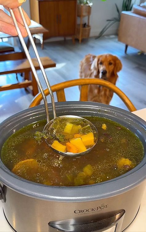 Bone Broth for Dogs with Pumpkin Beef Soup Bones, Bone Broth For Dogs, Broth For Dogs, Pumpkin Peel, Tofu Breakfast, Breakfast Cocktails, Slow Cooker Pasta, Pumpkin Dog Treats, Fresh Turmeric