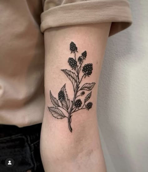 Wild Raspberry Tattoo, Berry Tattoo Ideas, Blackberry Tattoos, Nature Patchwork Tattoo Sleeve, Mulberry Tattoo, Botany Tattoo, Blackberry Tattoo, Acab Tattoo, Aesthetic Tattoo Ideas