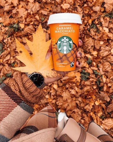 Best Christmas Sugar Cookie Recipe, Starbucks Wallpaper, Fall Tv, Christmas Aesthetic Wallpaper, Coffee Wallpaper, Fall Drinks, Christmas Post, Coffee Signs, Fall Aesthetic