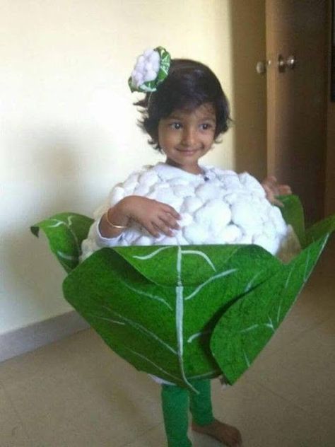 Vegetable Fancy Dress, Fancy Dress Competition Ideas, Fancy Dress Costume Ideas, Vegetable Costumes, Fancy Dress Costumes Kids, Dress Costume Ideas, Fancy Dress Ideas, Fancy Dress Competition, Baby Fancy Dress