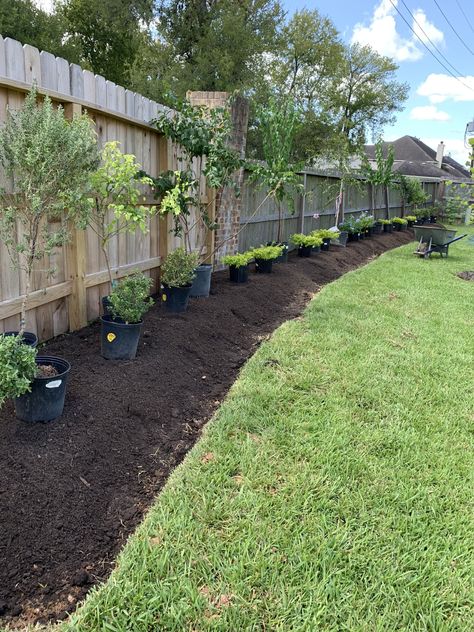 Landscaping Up Against Fence, Landscaping Rectangular Backyard, Deck To Yard Transition, Landscape Ideas For Fence Line, Uneven Backyard Landscaping, Good Trees To Plant Near House, Rectangular Yard Landscaping, Property Divider Landscaping, Mulch Along Fence Line