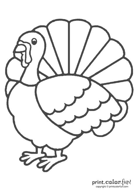 Download and print your page here! Turkey Pictures To Color, Turkey Template, Turkey Coloring, Creation Coloring Pages, Thanksgiving Coloring Book, Turkey Drawing, Free Thanksgiving Coloring Pages, Turkey Images, Turkey Coloring Pages