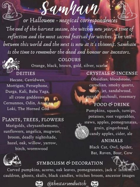 Halloween Ritual Witch, Samhain Traditions Witches, Samhain Deities, Samhain Crystals, Pagen Holidays, Wicca Holidays, Samhain Traditions, Samhain Ritual, Pagan Holidays