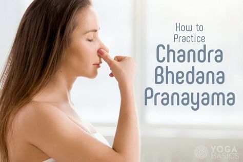 Chandra Bhedana Pranayama (Moon-Piercing Breath) Chandra Bhedana Pranayama is a powerful breathing technique that offers a unique way to connect with the calming and cooling qualities of the moon. This technique is especially beneficial during times of heightened emotions or when you find yourself overwhelmed by the heat and intensity of life. It cools the mind, soothes the nervous system, […] Moon Breathing, Moon Piercing, Nostril Breathing, Yoga Breathing Techniques, Yoga Basics, Pranayama Techniques, Pranayama Breathing, Pranayama Yoga, Alternate Nostril Breathing