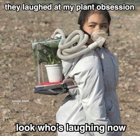 Plant Jokes, Gifting Plants, Plant People, Pretty Meme, My Apartment, Crazy Funny Memes, Funny As Hell, Me Too Meme, Life Humor