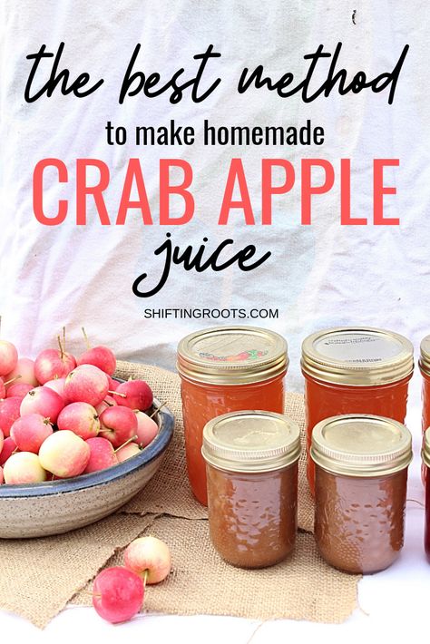 What's The Best Way to Juice Crab Apples?  And do you really need fancy equipment?  Here's the pros and cons of each method, so you can get the best juice possible for your crab apple recipes. #crabapple #apple #juice #juicing #canning Crab Apple Recipes, Homemade Apple Juice, Crab Apple Jelly, Apple Juice Recipe, Canning Apples, Crab Apples, Smoothie Popsicles, Best Juice, Canning Peaches