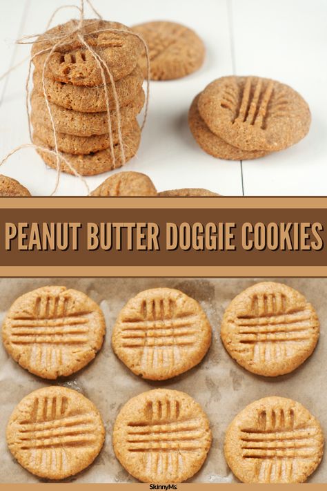 Whether you’re searching for homemade recipes to make for a new puppy pal, or something that can satisfy your longtime companion, these peanut butter doggie cookies will be perfect! Doggy Cookie Recipes, Dog Safe Christmas Cookies, Dog Sandwich Cookies, Dog Friendly Cookie Recipe, Oatmeal Cookies For Dogs, Dog Cookie Decorating, Soft Dog Treats For Older Dogs, Dog Safe Cookies, Dog Friendly Cookies