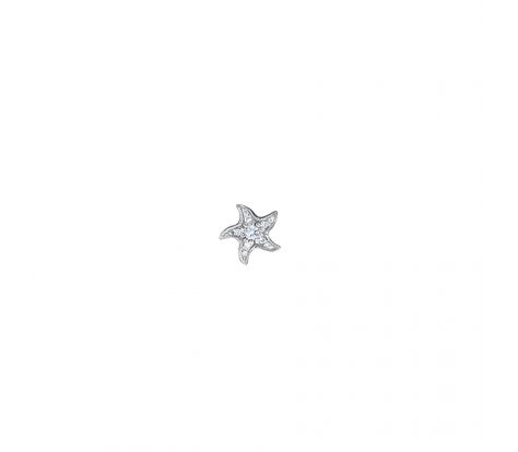 Small Star Fish Tattoo, Dainty Starfish Tattoo, Cute Starfish Tattoo, Mini Starfish Tattoo, Star Of The Sea Tattoo, Tiny Starfish Tattoo, Small Starfish Tattoo, Sea Star Tattoo, Seastar Tattoo