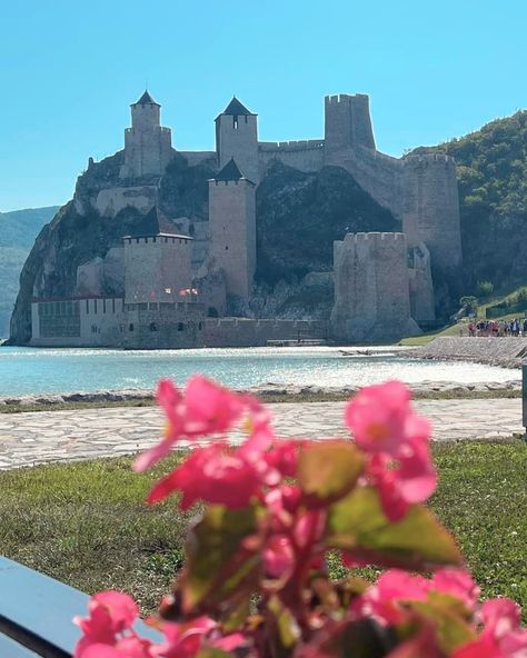 Day 5 - our morning was spent exploring Golubac Fortress. This afternoon we cruised through the spectacular Iron Gates, a series of gorges that form a natural border between Serbia 🇷🇸 and Romania 🇷🇴 #StrathmoreTravel #TravelMore #CelebrationTravel #TravelExperts #EuropeanRiverCruise #Romania Golubac Fortress, European River Cruises, Travel Cruise, Iron Gates, Travel Agent, Serbia, A Series, Romania, Gate