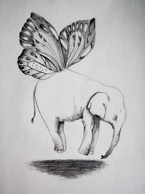 elephant with butterfly wings Elephant Wings Tattoo, Butterfly Elephant Tattoo, Elephant With Butterfly Tattoo, Elephant With Wings Tattoo, Elephant Butterfly Tattoo, Elephant With Wings, Elephant With Butterfly, Elephant And Butterfly, Tropical Flower Tattoos