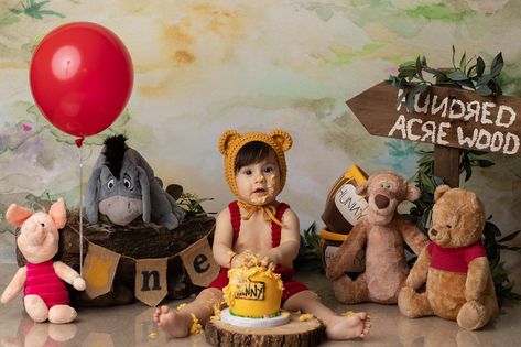 Baby Birthday Pictures, Cake Smash Theme, Baby Birthday Photoshoot, Winnie The Pooh Cake, Winnie The Pooh Themes, Boys First Birthday Party Ideas, Boys 1st Birthday Party Ideas, Baby Boy 1st Birthday Party, Winnie The Pooh Birthday