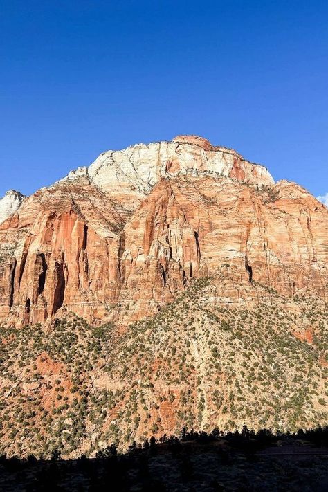 Geology of Zion National Park | Cotton Cashmere Cat Hair Nevada National Parks, Temple Of Sinawava, Kolob Canyon, Canyon City, National Parks Road Trip, Zion Park, Utah State Parks, Great Basin National Park, Mount Zion