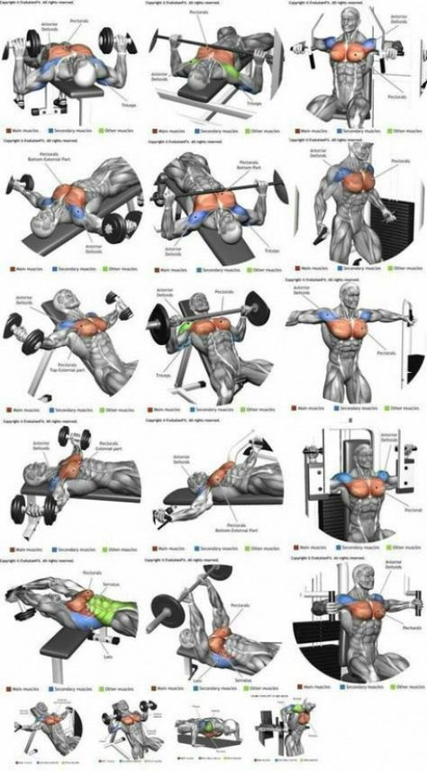 -Variações no treino de Peito. Baixe a imagem para visualizar em alta qualidade. #PsoasRelease Chest Training, Deltoid Workout, Chest Workout At Home, Chest Workout For Men, Corp Perfect, Chest Workout Routine, Cardio Yoga, Latihan Dada, Gaining Muscle