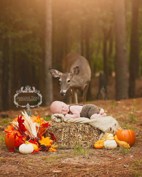 Deer Photobombs Baby's First Photo Shoot - The Magical Moment a Deer Wandered into a Photo Fall Baby Photos, Fall Baby Pictures, Photo Halloween, Boy Photo Shoot, Baby Photoshoot Boy, Forest Photos, Baby Boy Photos, Pics Ideas, Foto Tips